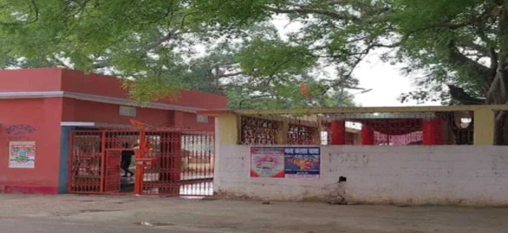 मौनिया बाबा महावीरी झंडा मेला 